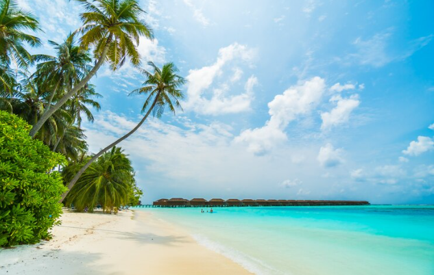 Choosing the Perfect Ride for Your Beach, Desert, and Forest Adventures